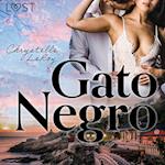 Gato Negro