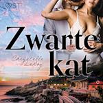 Zwarte kat – Erotisch verhaal