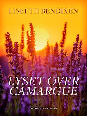 Lyset over Camargue