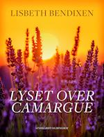 Lyset over Camargue