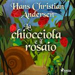 La chiocciola e il rosaio