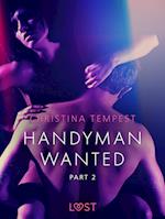 Handyman Wanted Part 2 - Erotic Short Story