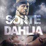 Sorte Dahlia