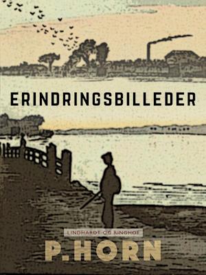 Erindringsbilleder