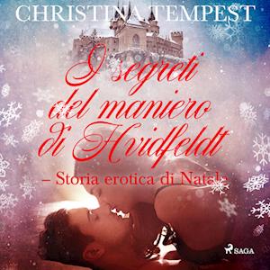 I segreti del maniero di Hvidfeldt - Storia erotica di Natale