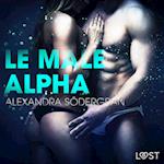 Le Mâle alpha – Une nouvelle érotique