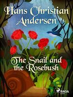 The Snail and the Rosebush