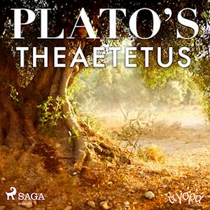 Plato’s Theaetetus