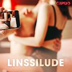 Linssilude