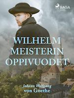 Wilhelm Meisterin oppivuodet