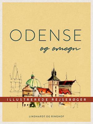 italiensk Unødvendig kalligrafi Få Odense og omegn af Diverse forfattere som e-bog i ePub format på dansk