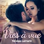 Vies à vue – Une nouvelle érotique