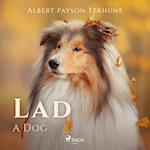 Lad: A Dog