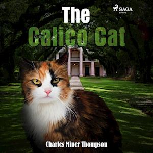 The Calico Cat