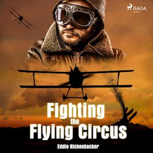 Fighting the Flying Circus