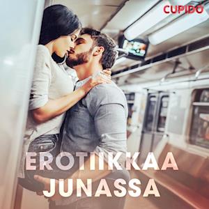 Erotiikkaa junassa