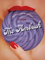 The Ambush - Erotic Short Story