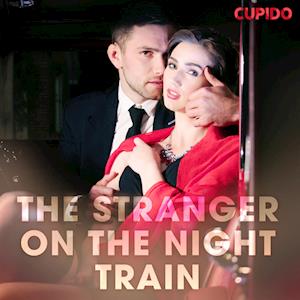 The Stranger on the Night Train