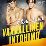 Vaarallinen intohimo - eroottinen novelli