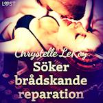 Söker brådskande reparation - erotisk novell