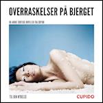 Overraskelser på bjerget  – og andre erotiske noveller fra Cupido