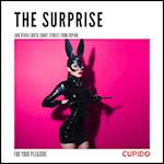 The Surprise - and other erotic short stories from Cupido