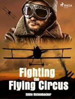 Fighting the Flying Circus