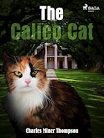 The Calico Cat