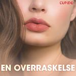 En overraskelse – erotiske noveller