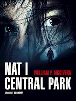 Nat i Central Park