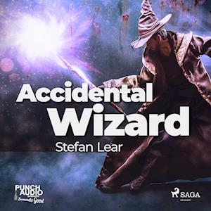 Accidental Wizard