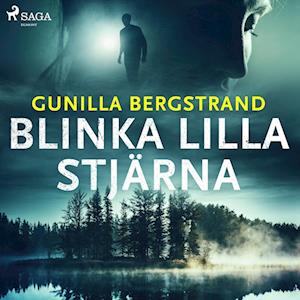 Blinka lilla stjärna