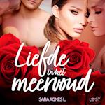 Liefde in het meervoud – Erotisch verhaal