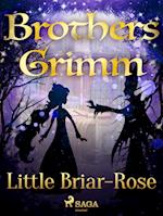 Little Briar-Rose