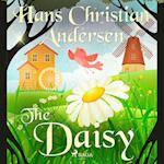 The Daisy