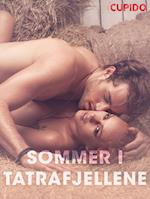Sommer i Tatrafjellene – erotiske noveller