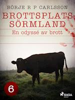 Brottsplats Sörmland. 6, En odyssé av brott