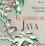 El gorrión de Java