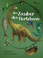 Im Zauber des Tierlebens