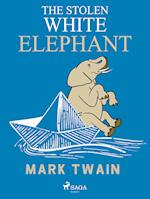 The Stolen White Elephant