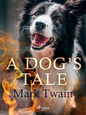 A Dog's Tale