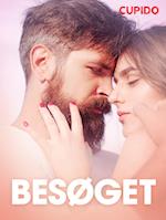 Besøget – erotiske noveller