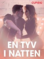 En tyv i natten – erotiske noveller