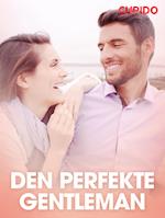 Den perfekte gentleman – erotisk novelle