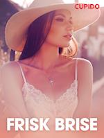 Frisk brise – erotisk novelle