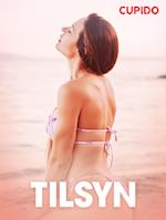 Tilsyn - erotisk novelle