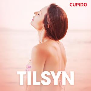 Tilsyn - erotisk novelle