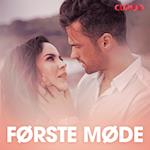 Første møde – erotisk novelle