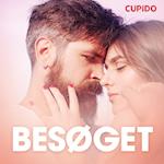 Besøget – erotiske noveller