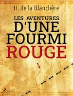 Les Aventures d'une Fourmi Rouge